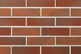 Фасадная термопанель ППУ60 с клинкерной плиткой Borkum glatt 240x71x10, ABC Klinkergruppe