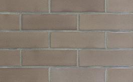 Фасадная клинкерная плитка Terramatic Plato Grey 8101, 240x71x14 NF от 3 140 руб.
