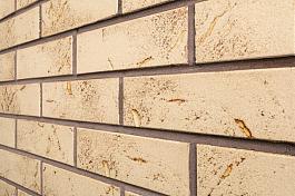 Фасадная термопанель ППУ60 с клинкерной плиткой Austria Salzburg 240x71x8, ABC Klinkergruppe