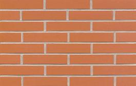 Клинкерная плитка для фасада R220DF9 terracotta liso, Feldhaus Klinker (240х52х9) от 3 080 руб.